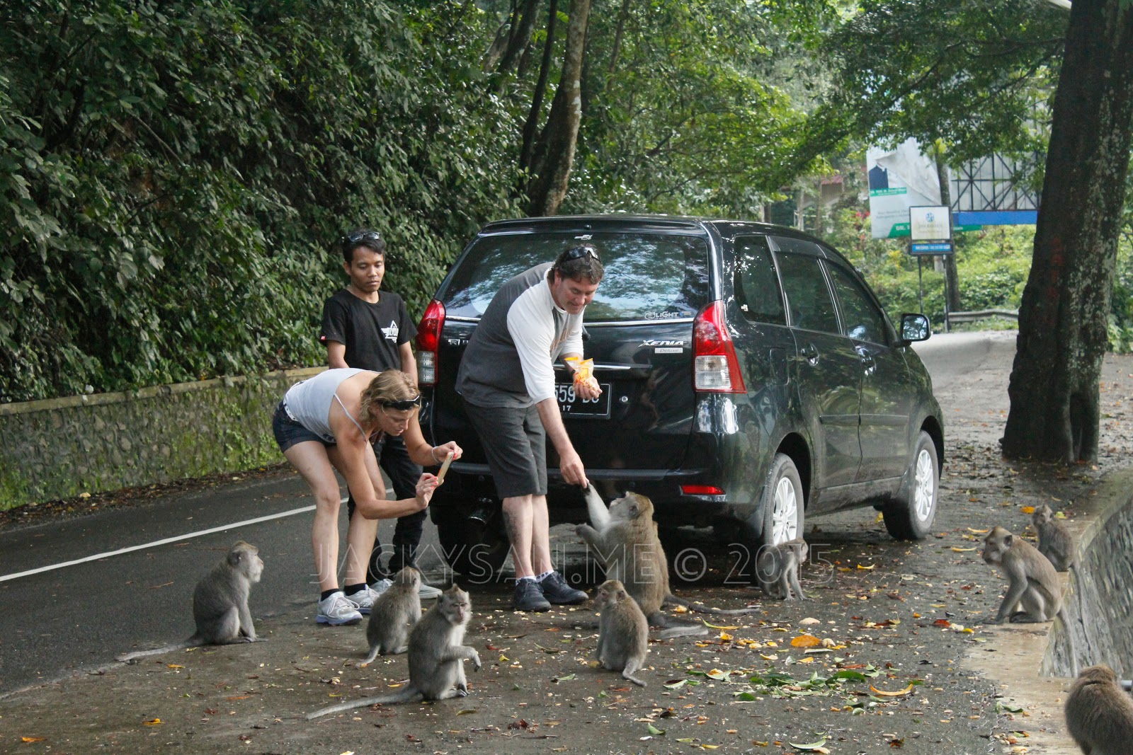 Pusuk Monkey Forest Lombok