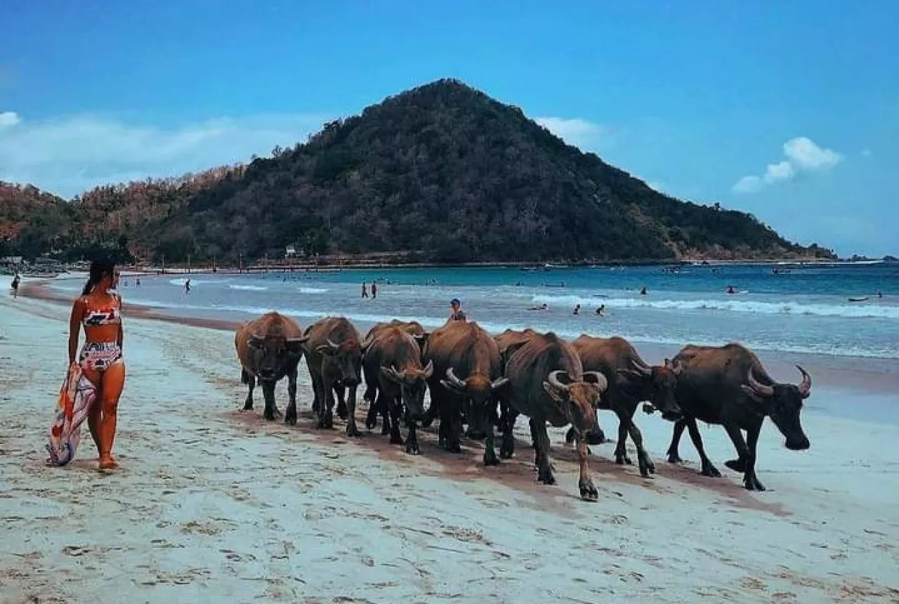Selong Belanak Beach Lombok
